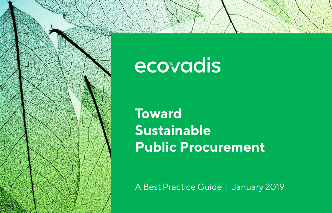 Case Study Toward Sustainable Public Procurement A Best Practice
